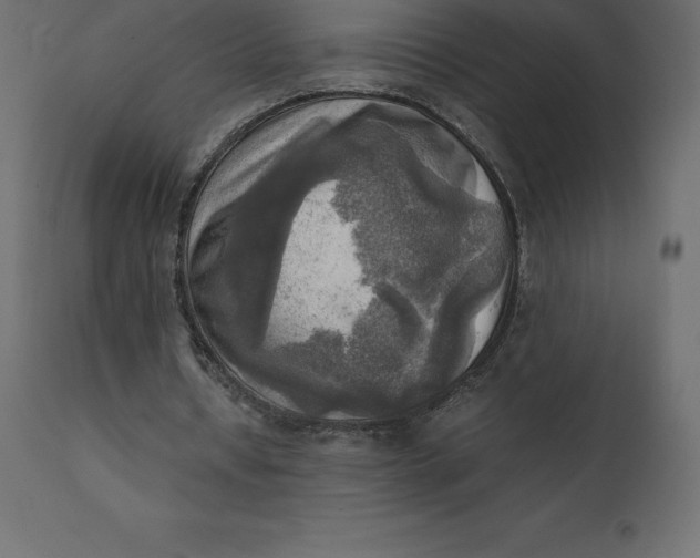 X0000110730434200906261522