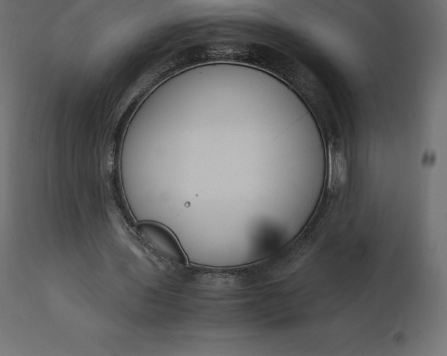 X0000110730435200906261523