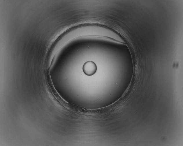 X0000110730436200906261523