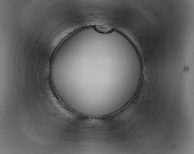 X0000110730437200906261523