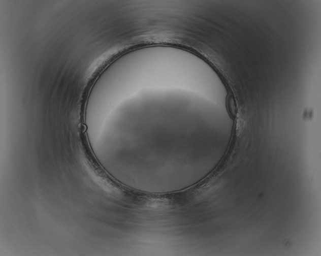 X0000110730438200906261523