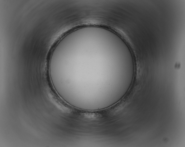 X0000110730439200906261523