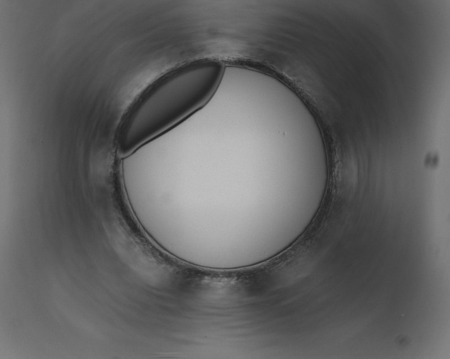 X0000110730440200906261523