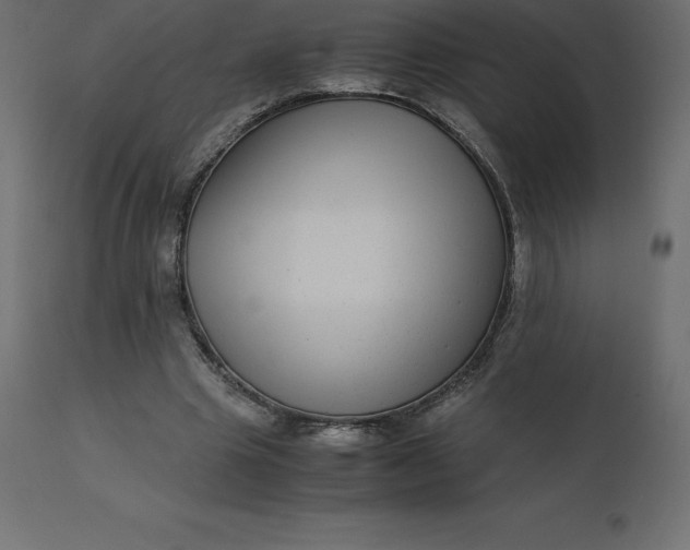 X0000110730441200906261523