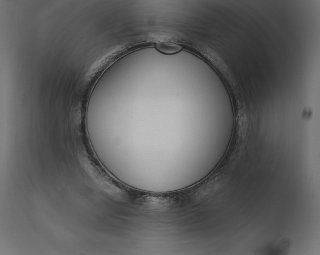 X0000110730442200906261523