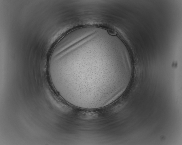 X0000110730443200906261523