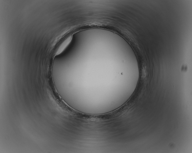 X0000110730444200906261523