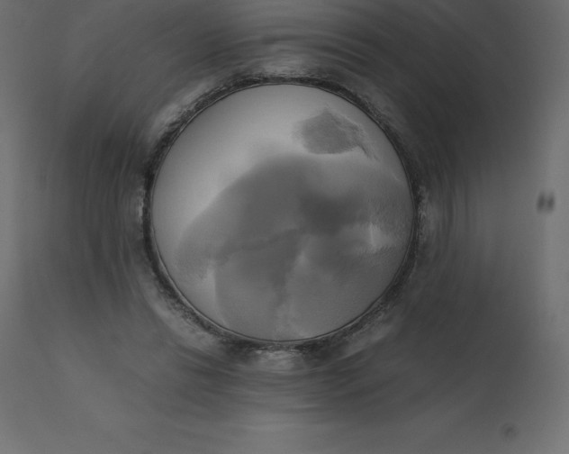 X0000110730446200906261523