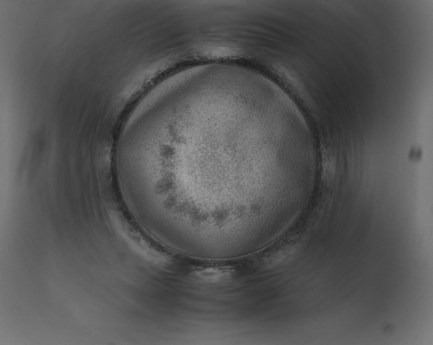 X0000110730447200906261523