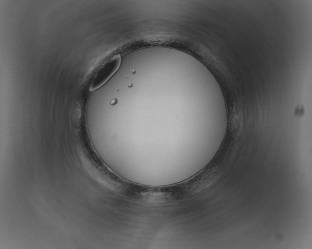 X0000110730448200906261523