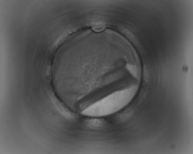 X0000110730449200906261523