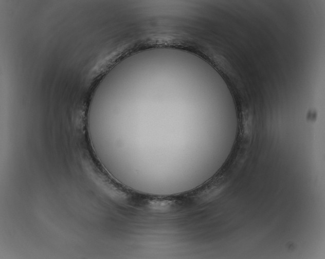 X0000110730450200906261523