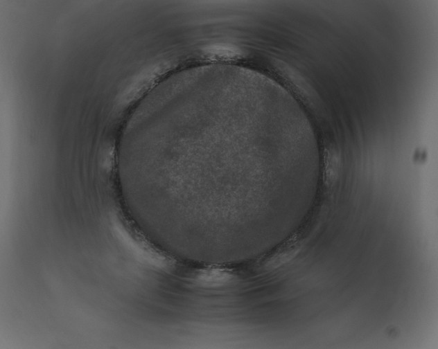 X0000110730451200906261523