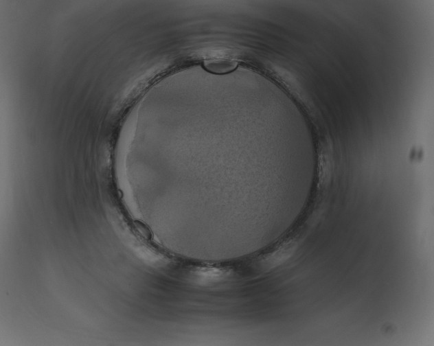 X0000110730453200906261523