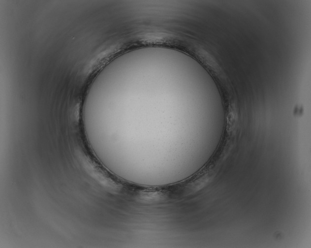 X0000110730454200906261523