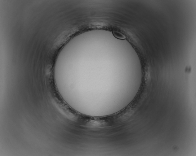 X0000110730455200906261523