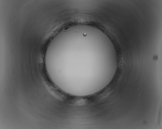 X0000110730456200906261523