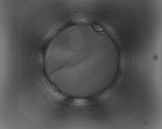 X0000110730457200906261523