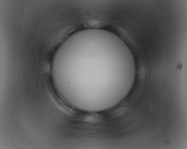 X0000110730459200906261523