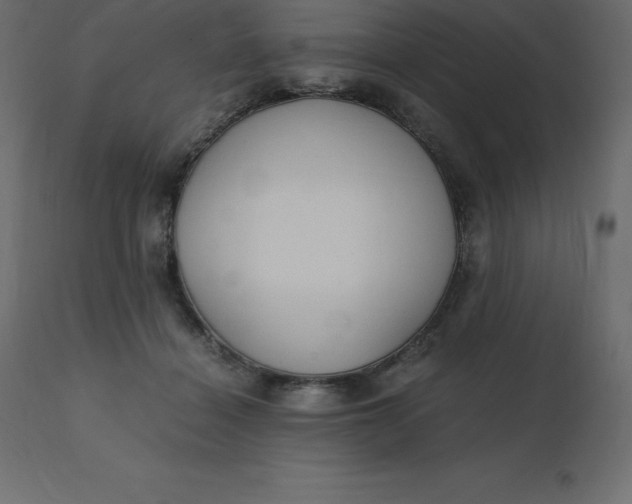 X0000110730460200906261523