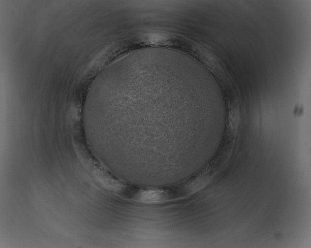 X0000110730461200906261523