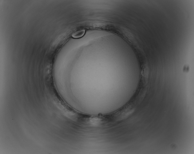 X0000110730462200906261523