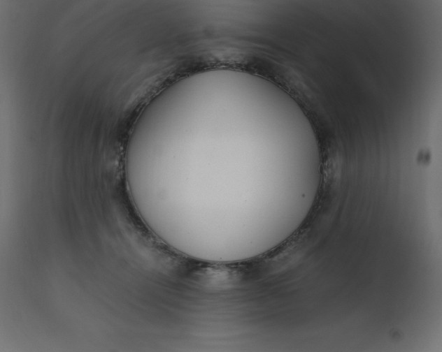 X0000110730464200906261523