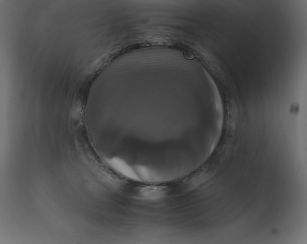 X0000110730465200906261523