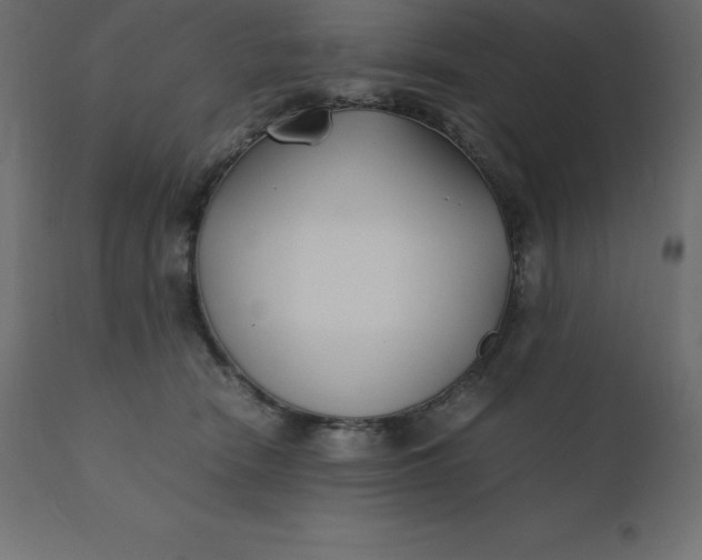 X0000110730466200906261523