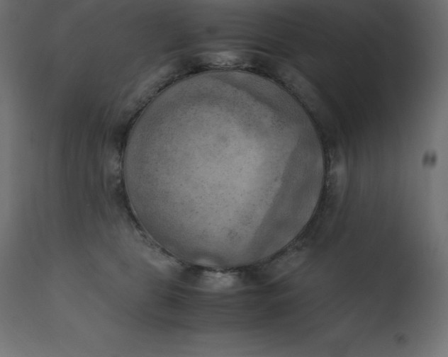 X0000110730469200906261523