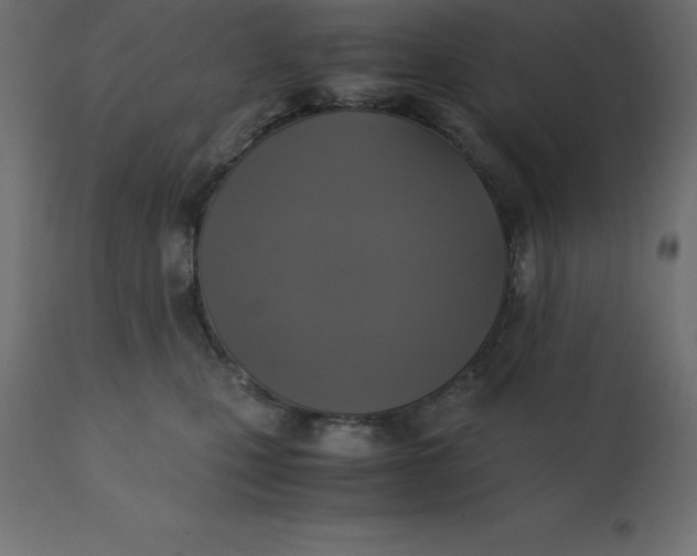 X0000110730471200906261523