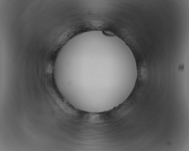 X0000110730472200906261523