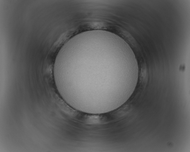 X0000110730473200906261523