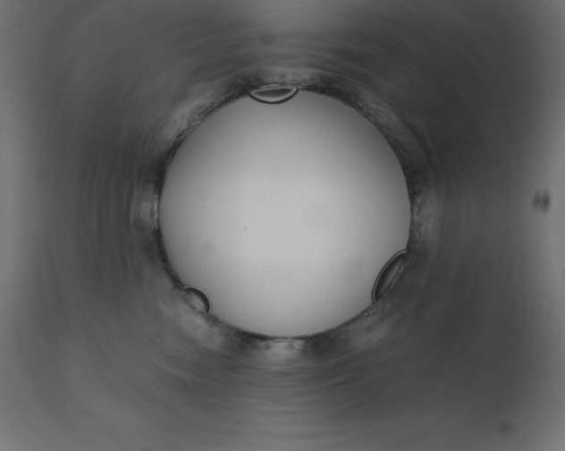 X0000110730474200906261523