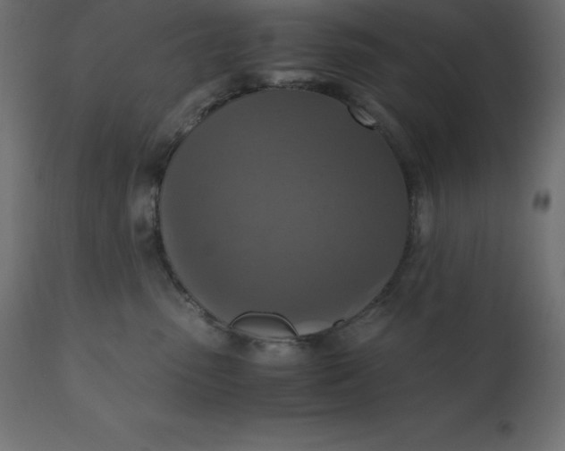 X0000110730475200906261523