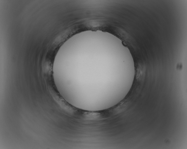 X0000110730476200906261523