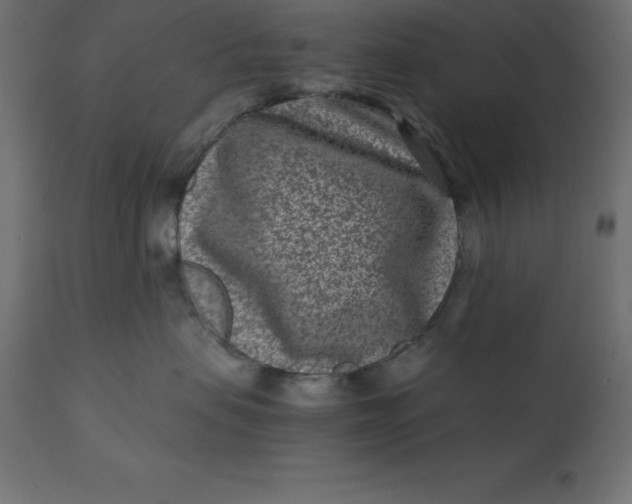 X0000110730479200906261523