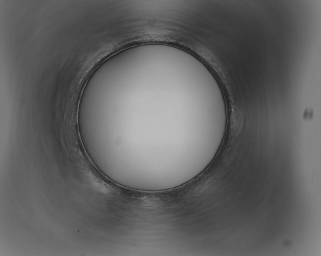 X0000110730481200906261522