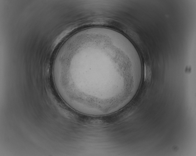 X0000110730483200906261522