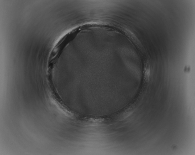 X0000110730484200906261522