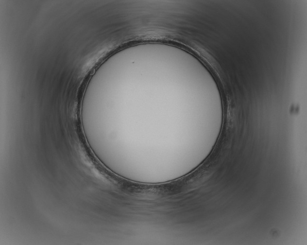 X0000110730485200906261522