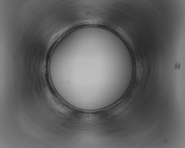 X0000110730486200906261522