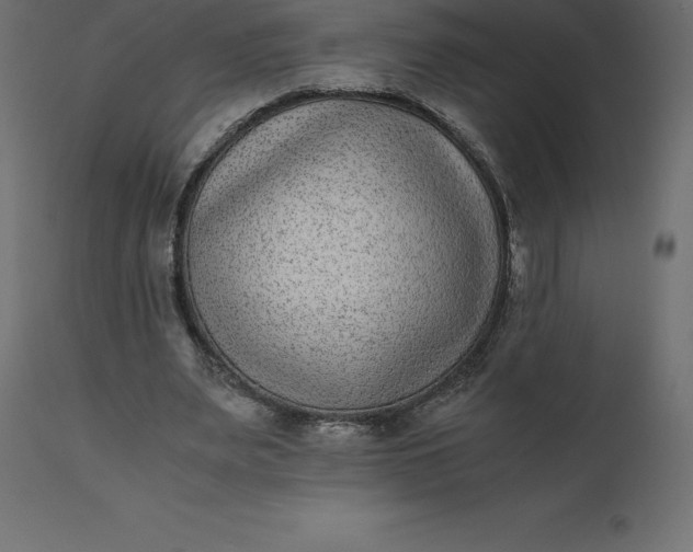 X0000110730487200906261522