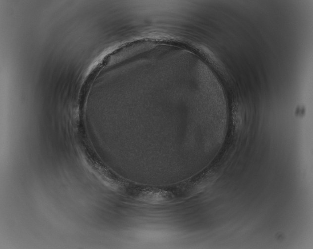 X0000110730488200906261522