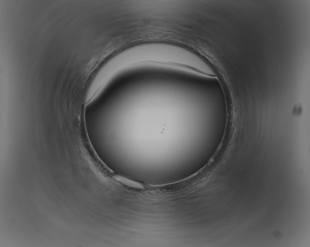 X0000110730489200906261522