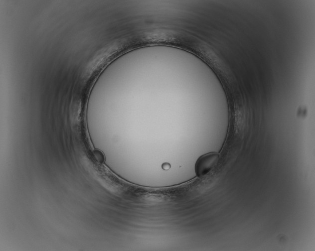 X0000110730490200906261522