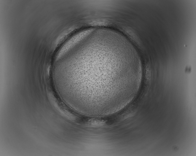 X0000110730491200906261522