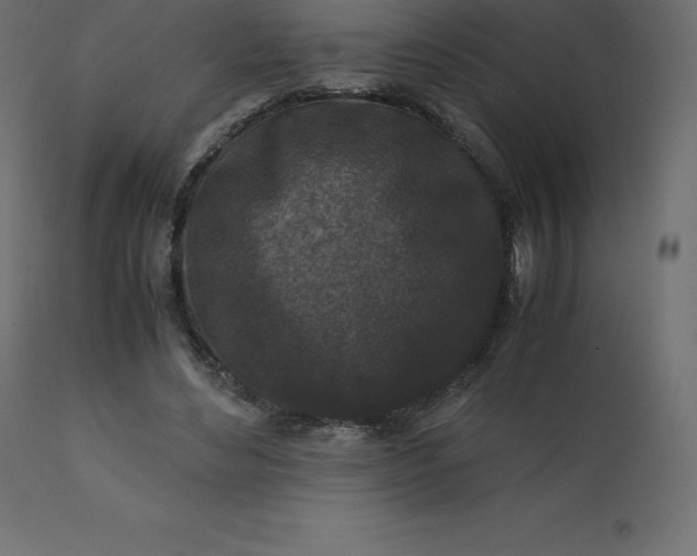 X0000110730492200906261522