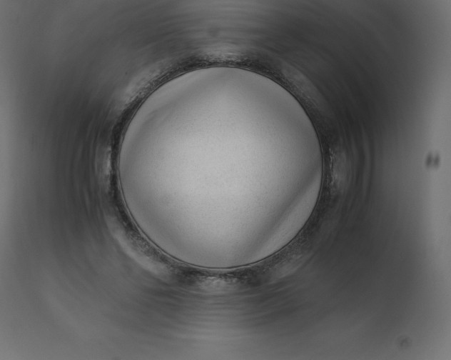 X0000110730494200906261522