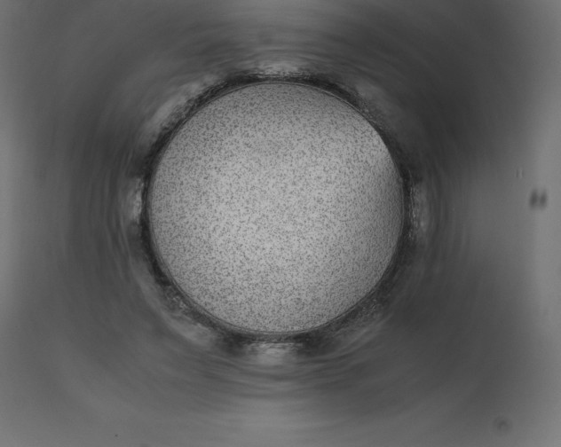 X0000110730495200906261522